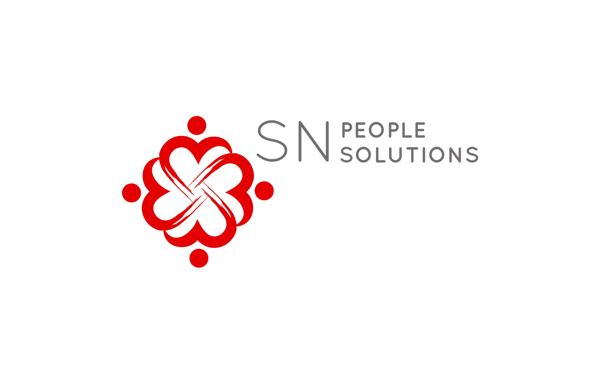 HR Consultant Sydney - SN HR Solutions